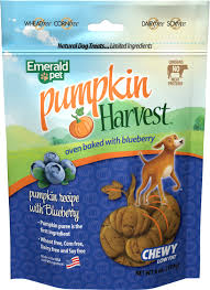 Emerald Pet Pumpkin Harvest Oven Baked Pumpkin Recipe With Blueberry Chewy Dog Treats, 6-oz bag